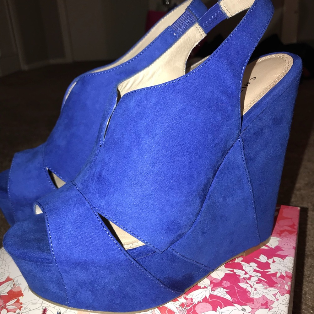 Blue Wedges